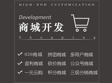深圳企业网站,外贸网站,购物网站