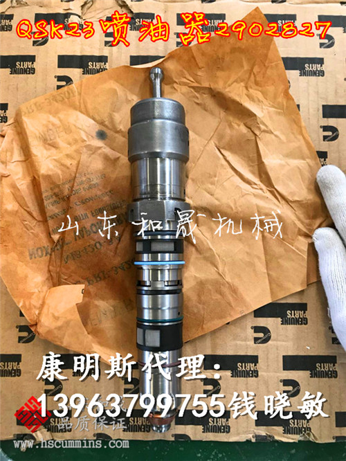 青海矿区大型旋挖转机康明斯QSK23系列发动机喷油器 4902827