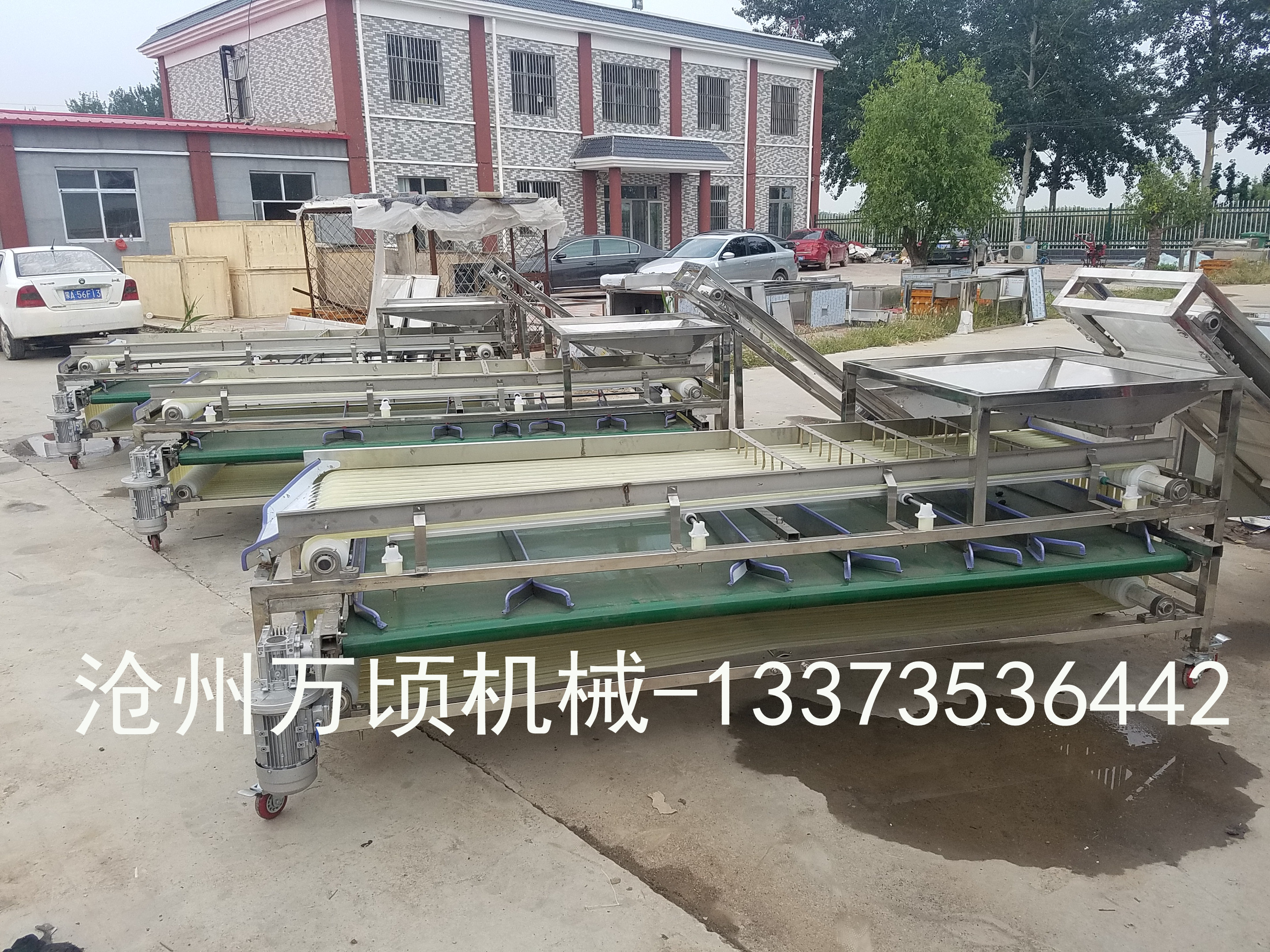 核桃分选机耐磨耐用易维护