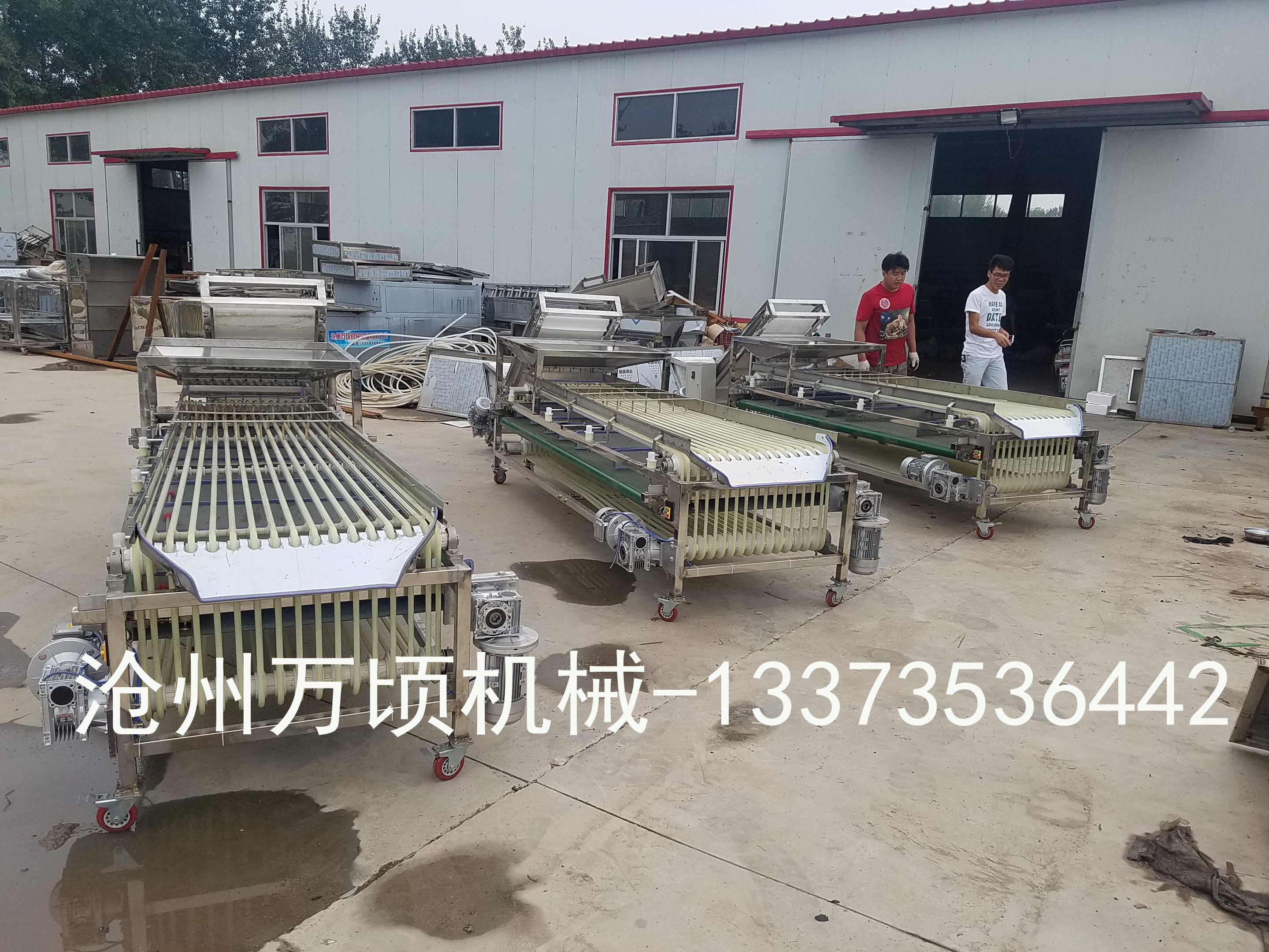 不锈钢材质蓝莓分选机