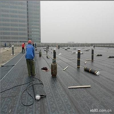 苏州吴中区房屋屋顶裂缝渗水（阳台、窗台）屋面墙面渗水防水补漏维修