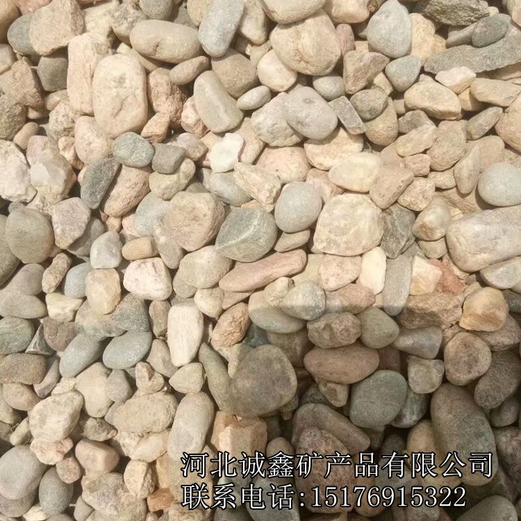 灵寿诚鑫供应 花园铺路用鹅卵石 建筑用大块卵石
