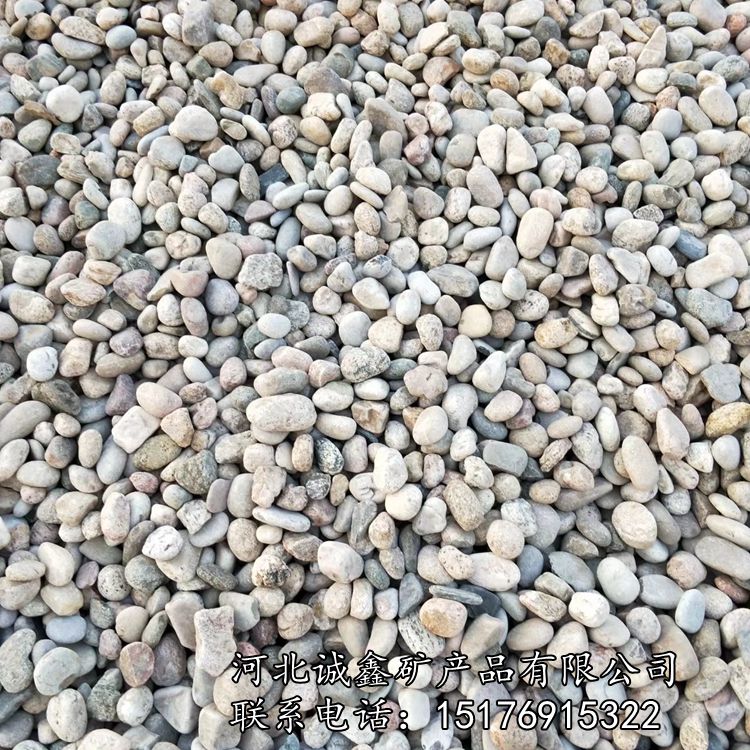 灵寿诚鑫供应 铺路园林景鹅卵石 滤料卵石