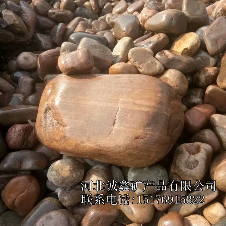 灵寿诚鑫供应 自然鹅卵石 垫层卵石 大块河卵石