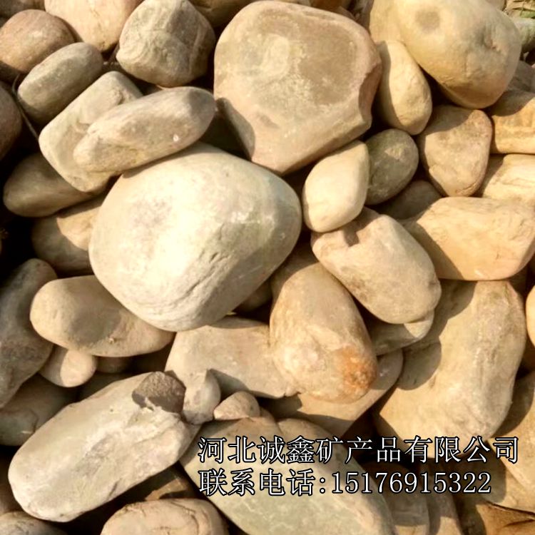 灵寿诚鑫供应 园林绿化鹅卵石 普通卵石
