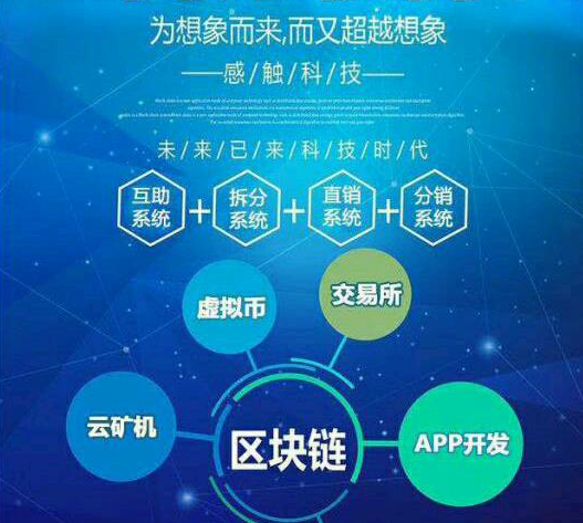 软件开发 APP 微商城