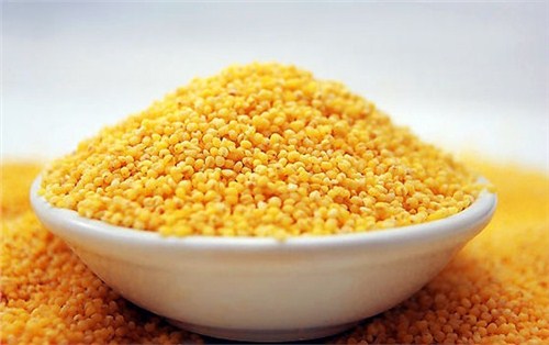 黄小米的作用|黄小米|黄小米厂家|鲁乡裕供