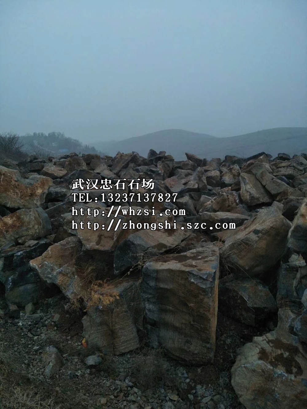 湖北园林石 龟纹石厂家销售-武汉做假山石价格