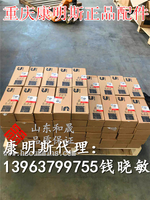 3071497-20喷油器发电机组用重庆工厂