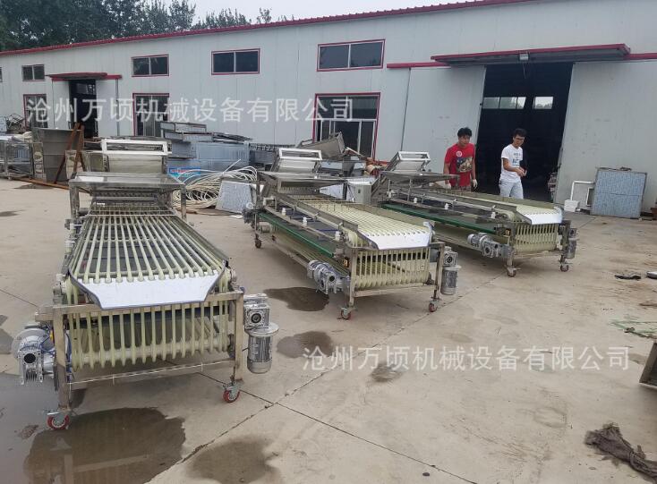 枇杷分选机选果机分拣机 轻巧耐用