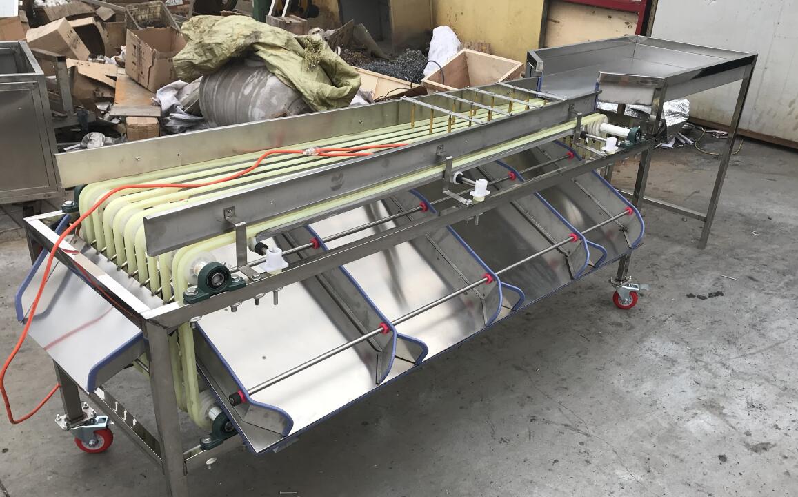 灰枣分选机选果机分拣机 轻巧耐用