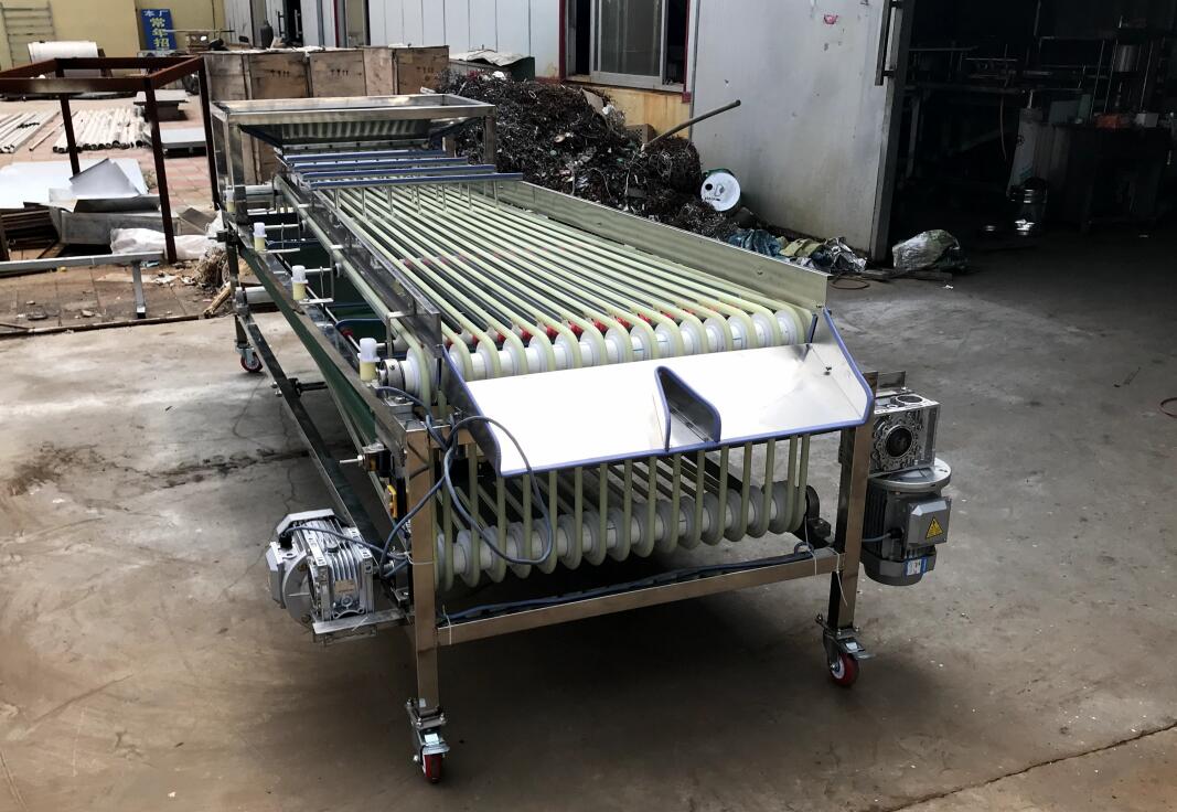 万顷隆牌分选机选果机-灰枣分选机