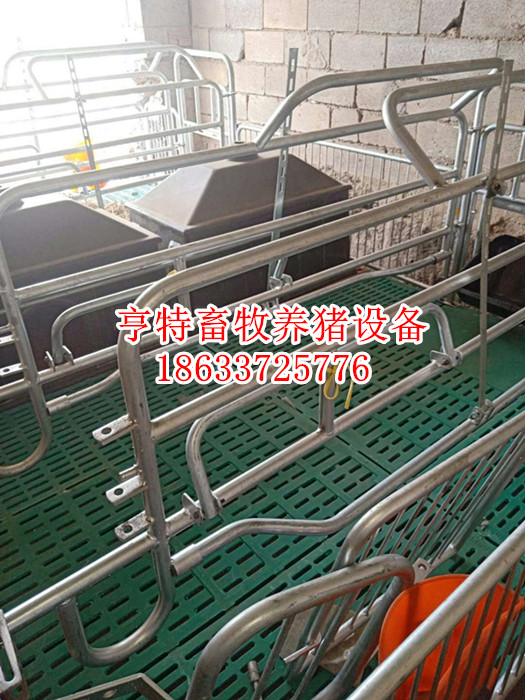 贵州毕节整体复合母猪产床保温板猪床安装视频