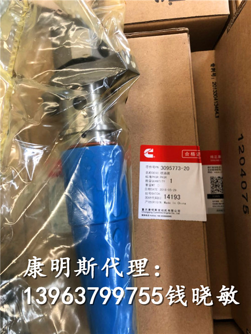 机械设备辅助动力机组KTA19-G发动机喷油器3095773-20