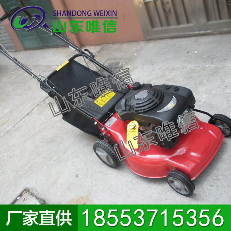 汽油草坪机厂家产品 ，汽油草坪机系列产品