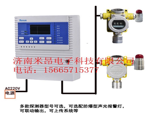 夏季氟利昂气体报警器-可用于工厂的危险场所