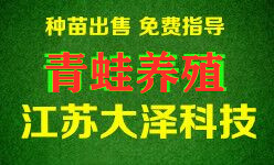 青蛙养殖亩产多少？赚钱吗？需要哪些手续【江苏大泽科技】基地