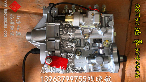 克拉玛依大型工矿设备QST30康明斯柴油泵2881833燃油泵