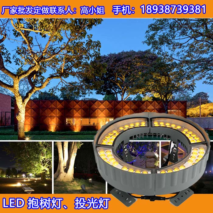 抱树灯应用公园庭院小区的led照树灯抱树效果图