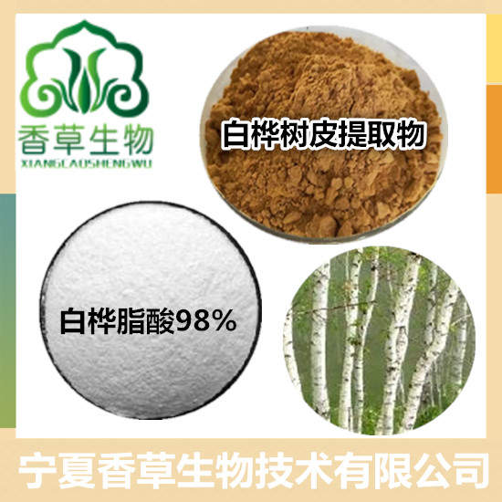 白桦脂酸98% 生产厂家供应白桦树皮提取物  厂家包邮
