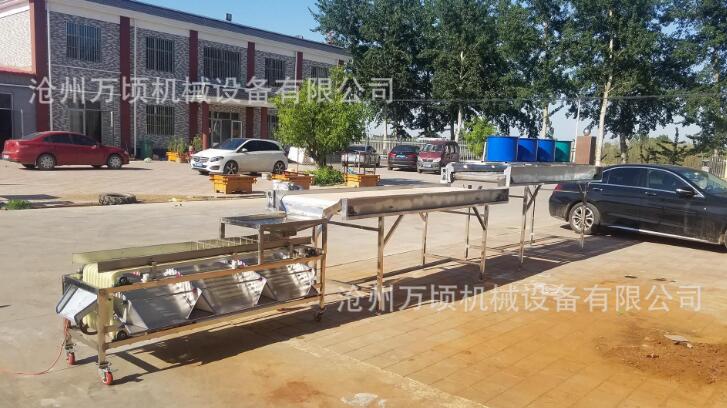小型青梅选果机_小型青梅筛选机
