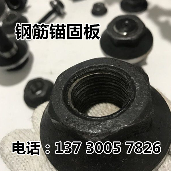 马云推荐钢筋锚固板生产厂家|价格合适质量高