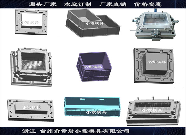 浙江塑胶模具厂家PP冷藏箱模具实力厂家