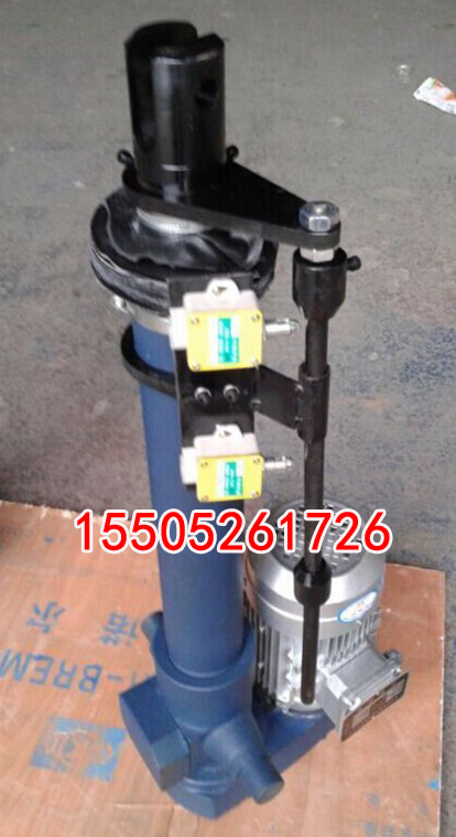 电厂用DT500-300电动推杆 电动推杆厂家