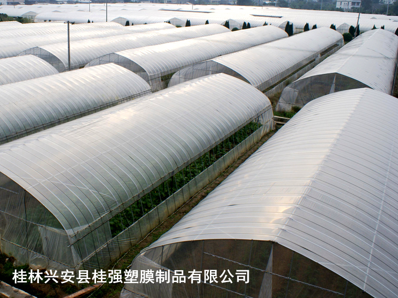 桂林蔬菜大棚膜生产厂家，蔬菜专用膜批发，蔬菜膜价格