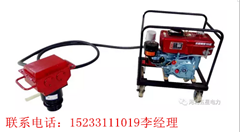 湖北便携式打桩机_小型防汛打桩机_打桩机价格