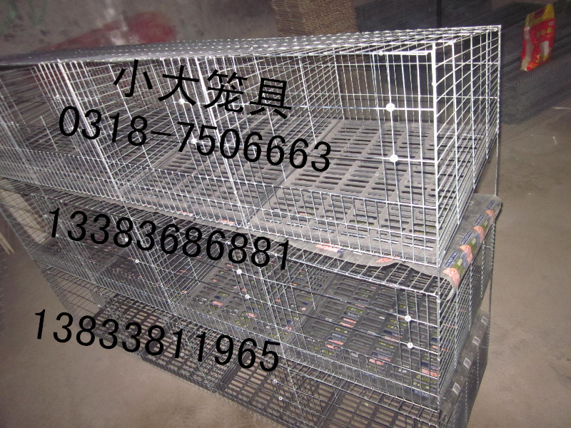供应鸽子笼 兔子笼 鸡笼子 鹧鸪笼 宠物笼 运输笼 鹌鹑笼 铁丝网 塑料网 养殖网