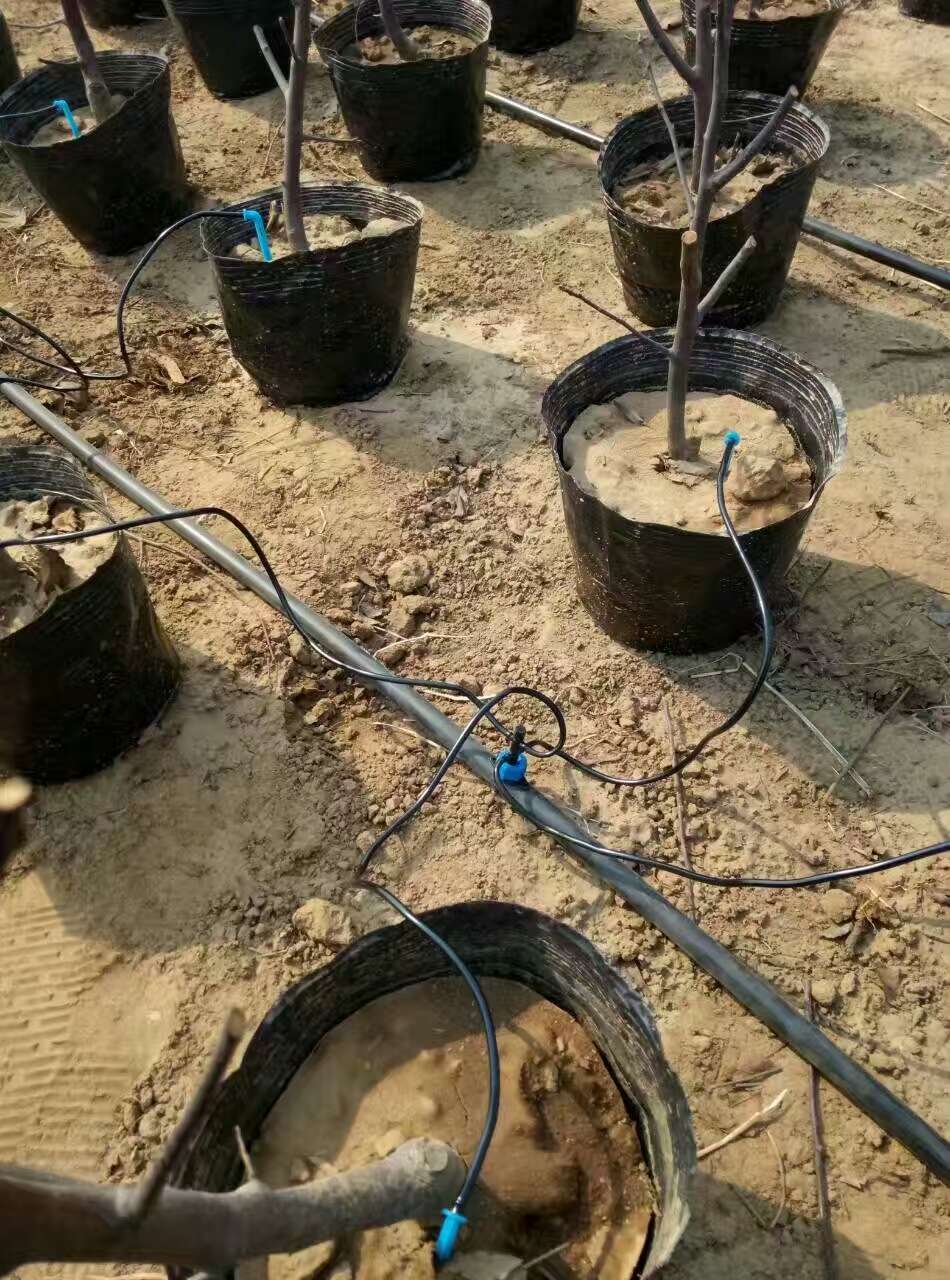 滴箭的组合方式