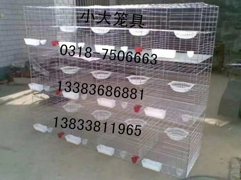 供应兔子笼 鸽子笼 鸡笼 鹧鸪笼 鹌鹑笼 宠物笼 运输笼 狐狸笼 塑料网 铁丝网