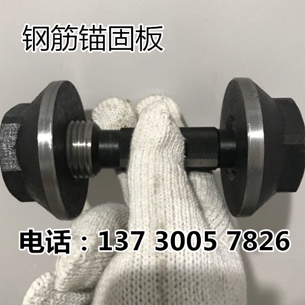 上海钢筋锚固板生产厂家|晓军紧固件现货直发快速到货价格全优惠