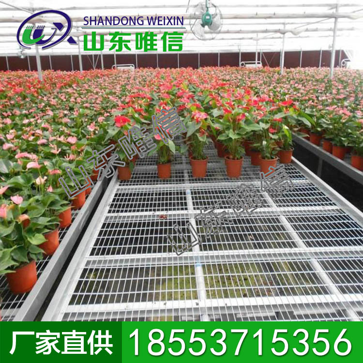 花卉苗床，花卉苗床厂家直销产品，现货销售