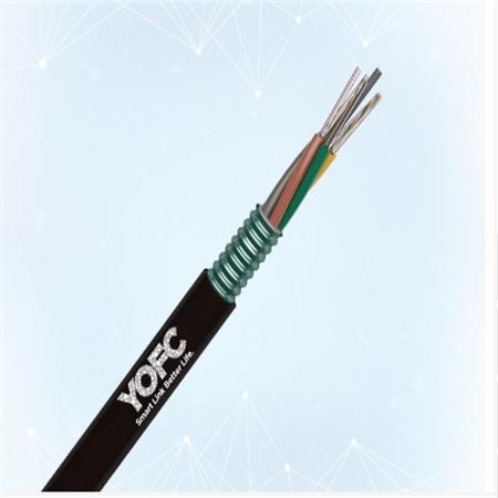 厂家专业可靠 湛江48芯长飞光缆 种类齐全