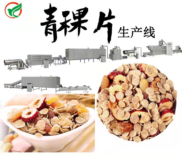 济南林阳-青稞麦片生产线