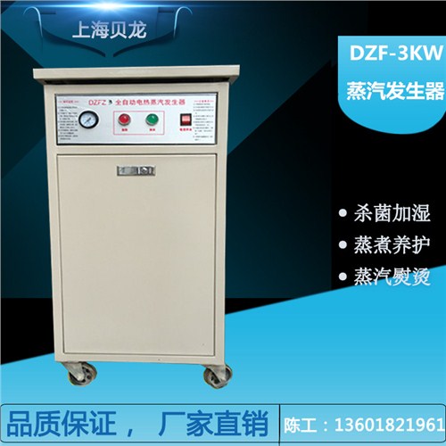 蒸汽机价格多少 蒸汽机18KW 3KW蒸汽机 贝龙机械供