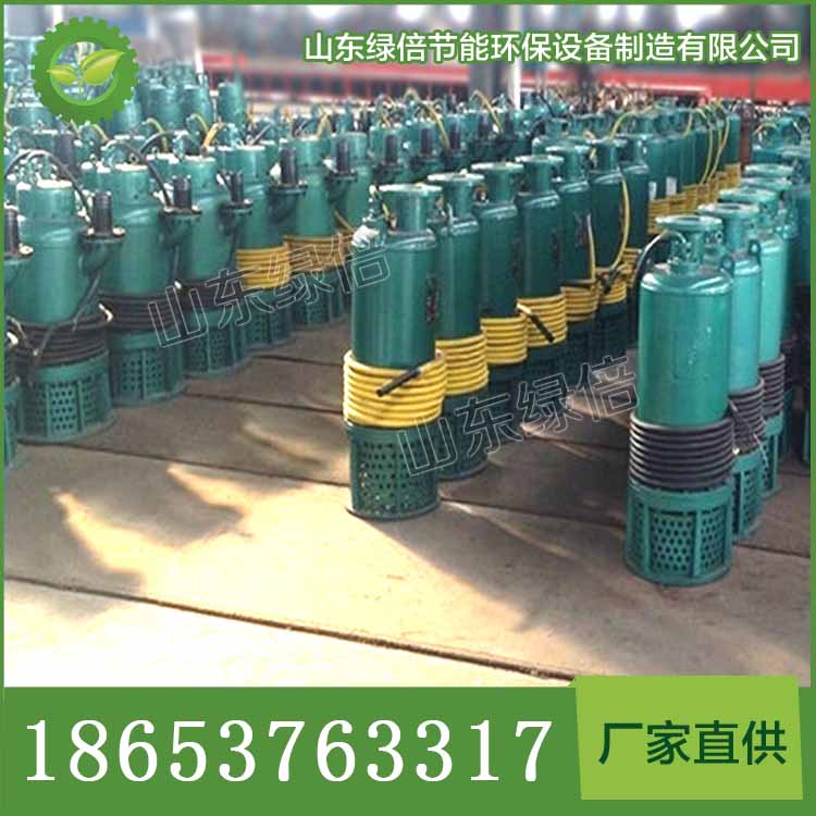 2.2KWBQS防爆潜水泵功能 防爆潜水泵厂家直销 经久耐用