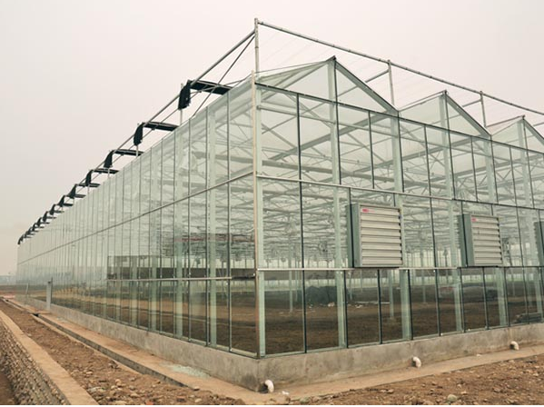 承接淮南玻璃智能温室大棚自动化育苗温室大棚