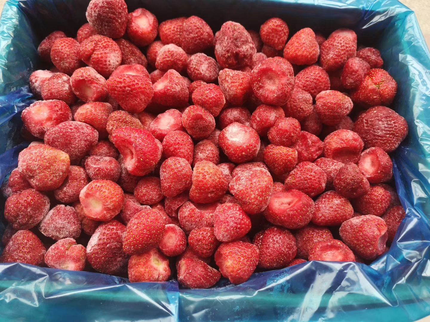 山东工厂直鲜果速冻冷冻美十三草莓批量出售