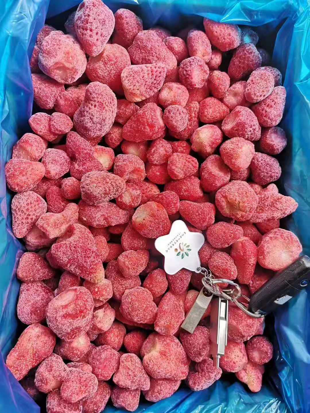 山东工厂直销鲜果速冻红颜草莓批量出售