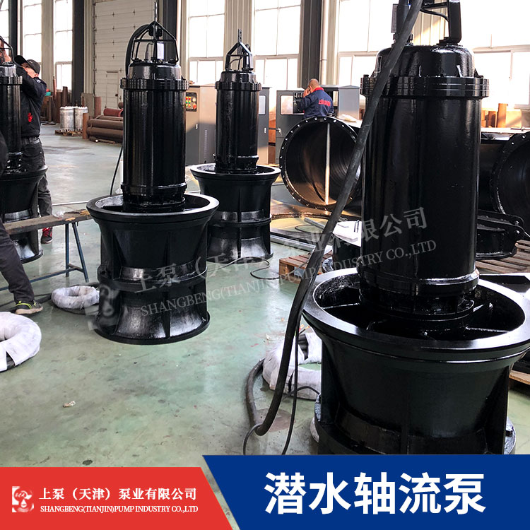 上海潜水轴流泵安装_QZB潜水轴流泵效率