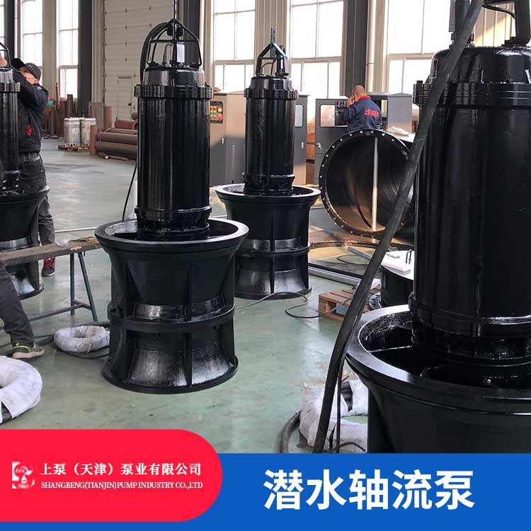 上海QZ潜水轴流泵厂家选型报价品牌推荐