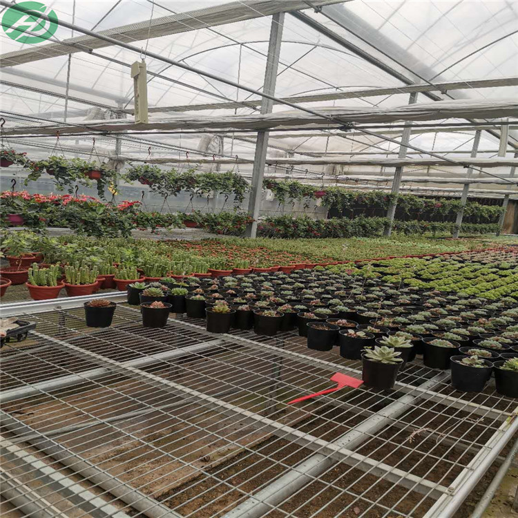 安平县半自动育苗床生产厂家 温室设施手摇式移动苗床