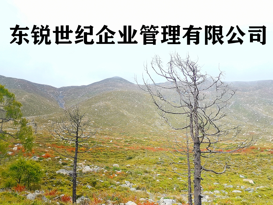山西公路資質轉讓，勞務資質代辦，推薦你東銳世紀！