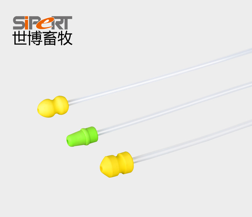 猪用输精管，猪人工授精操作步骤