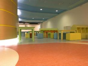 PVC塑胶地板仪陇地胶荣誉室幼儿园用地板