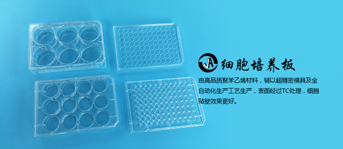 J00660百千生物6孔细胞培养板TC处理灭菌透明6孔培养板酶标板酶标仪通用一次性塑料培养板