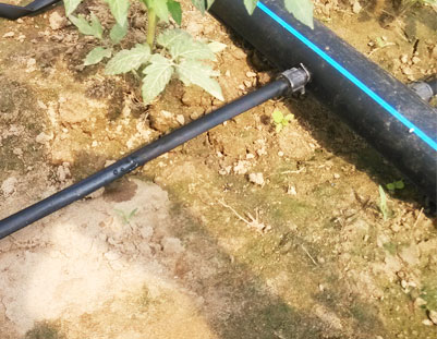 温室大棚蔬菜滴灌节水灌溉设备